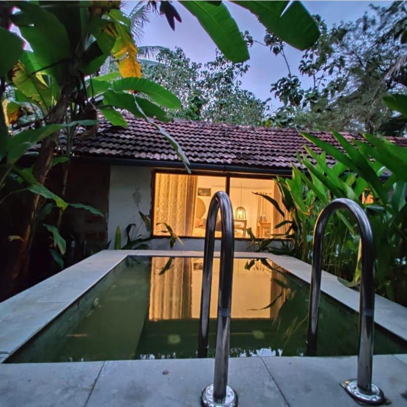 Bed and Breakfast Sunsets And Palm Trees Alappuzha Zewnętrze zdjęcie